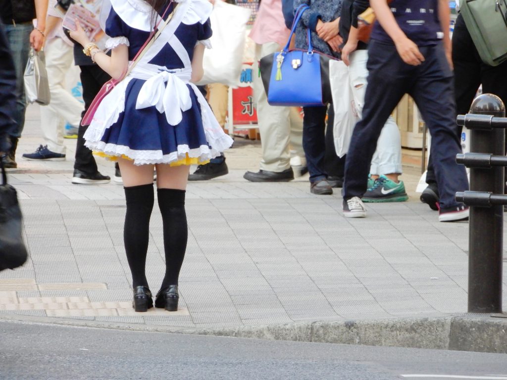 What Is Doujin Culture?